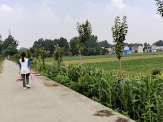 �����W�������l���x���l�����d���Pע���؃�ͯ