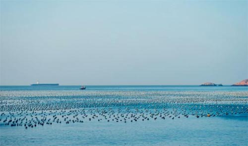 ����轍u����Ҋ��