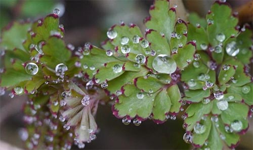 �Ϸ�����