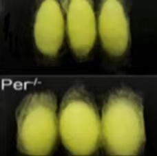 �K��W(xu��)�ӳɹ��аl(f��)�����QƷ�N--���z�dһ̖��