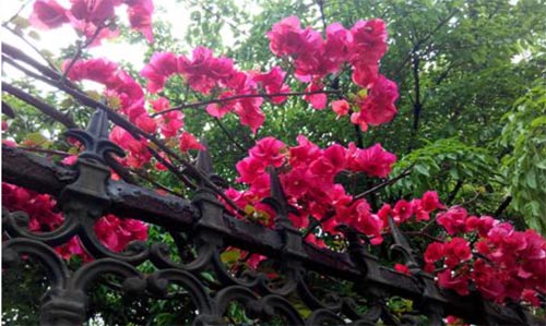 �χ�У�@�������箋