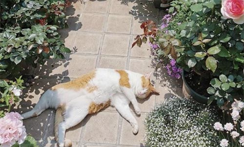 ������ů���_