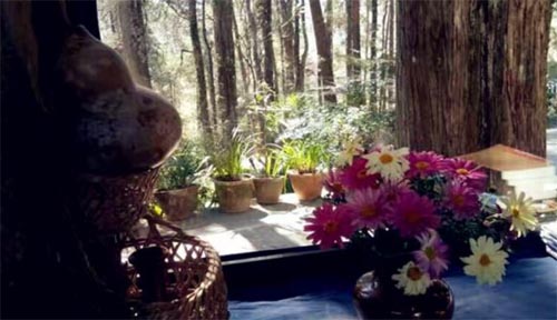 һɽһ��һ����