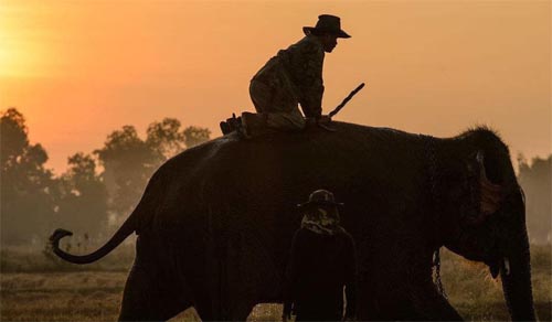 �������`�ز�