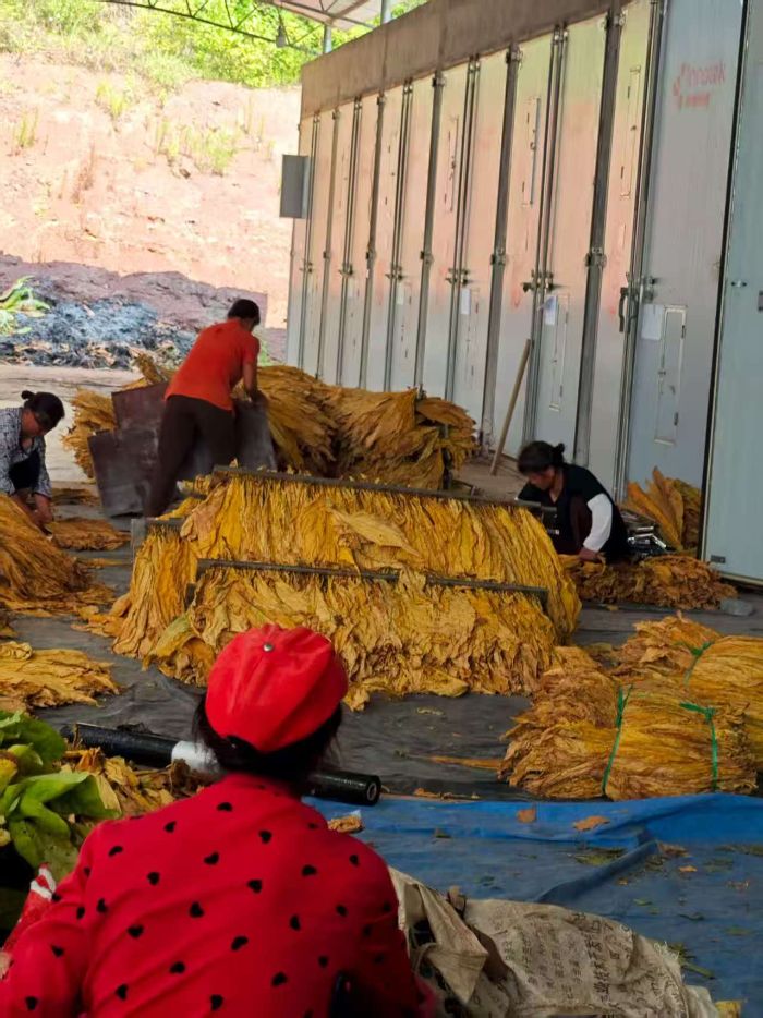 �����l���l�����d�������oϪ�_��悵Č��`�c��ʾ