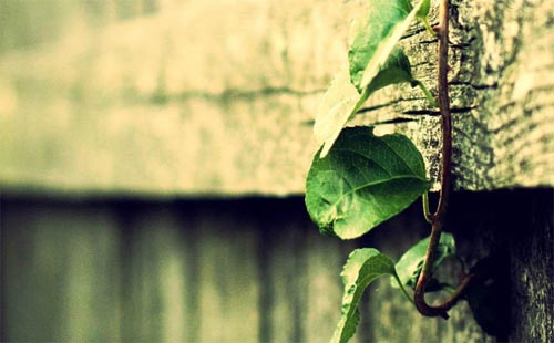 �Է� ���ǡ������I(y��)�ˣ���߀�Æ᣿