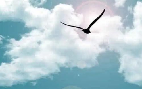 ܊Ӗ�����x