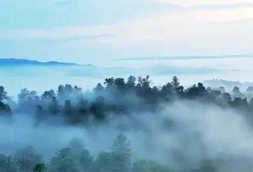 �����g�����ĶY��