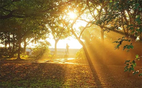 �������������ꖹ������F