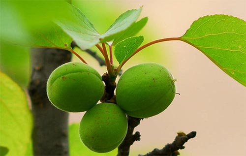 ���Ӱ������