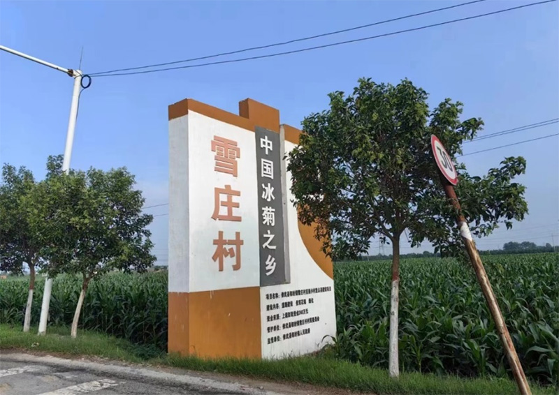 �Lѩ�f��ò��̽�l���}��