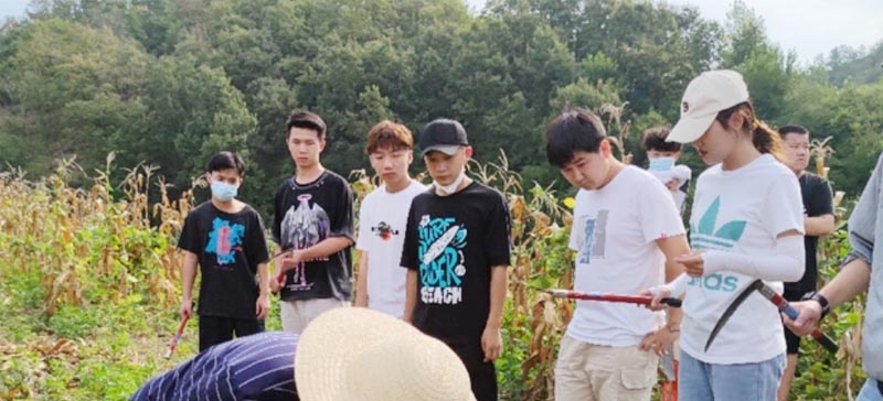 ���ڡ������@ ��������WԺ��W��֧�r�ڄ��_���_�W��һ�n