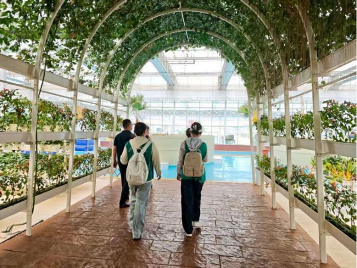 �����o���@�^�o�����۹��߲˵ĿƼ�����