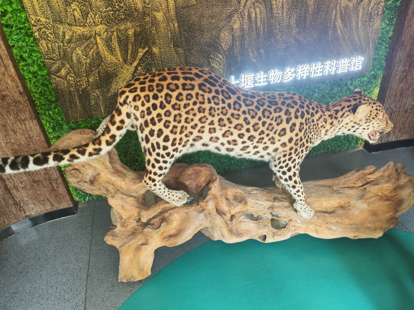 ε�{���l�����B����־Ը��������Mʮ�����֘I��������Կ����^