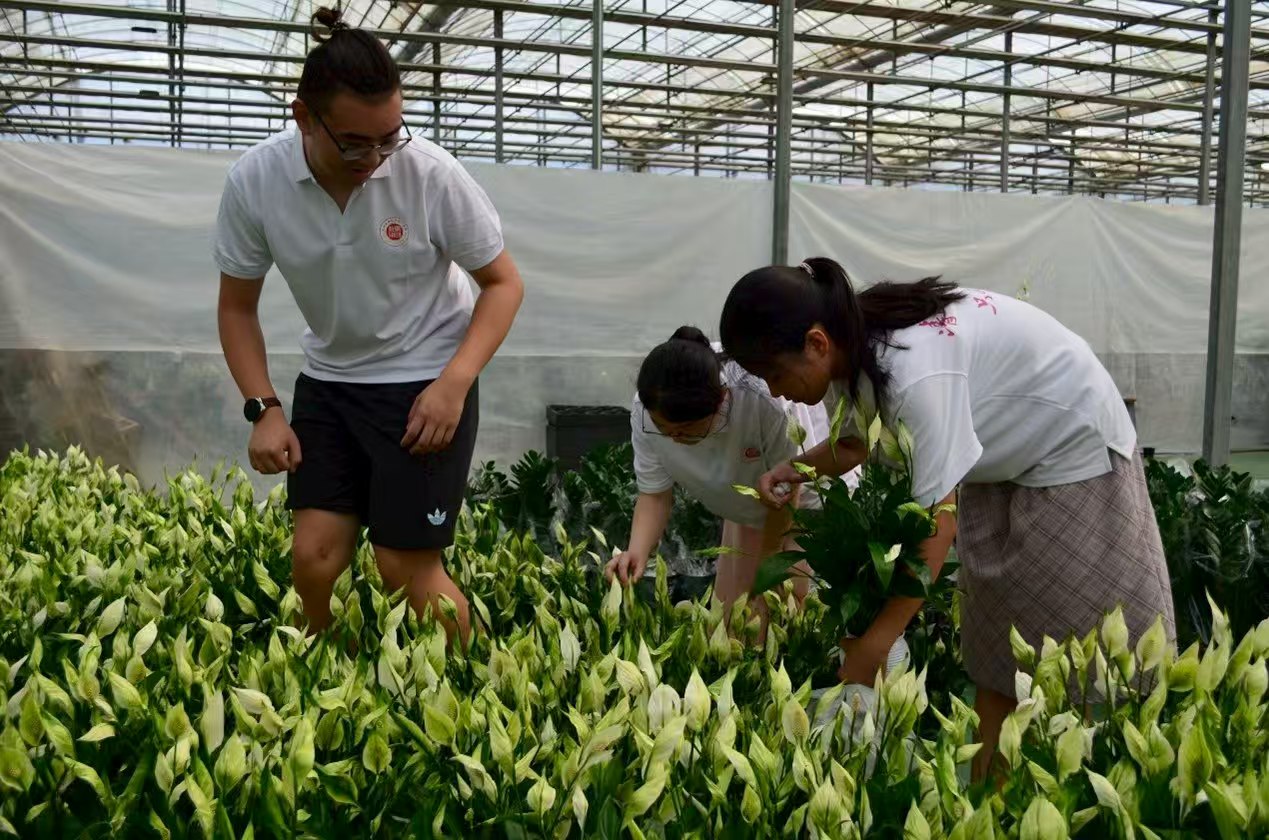 ��һȔ�溽��־Ը���ՈF�����ֱ���ۻ����ഺ�x���l�d