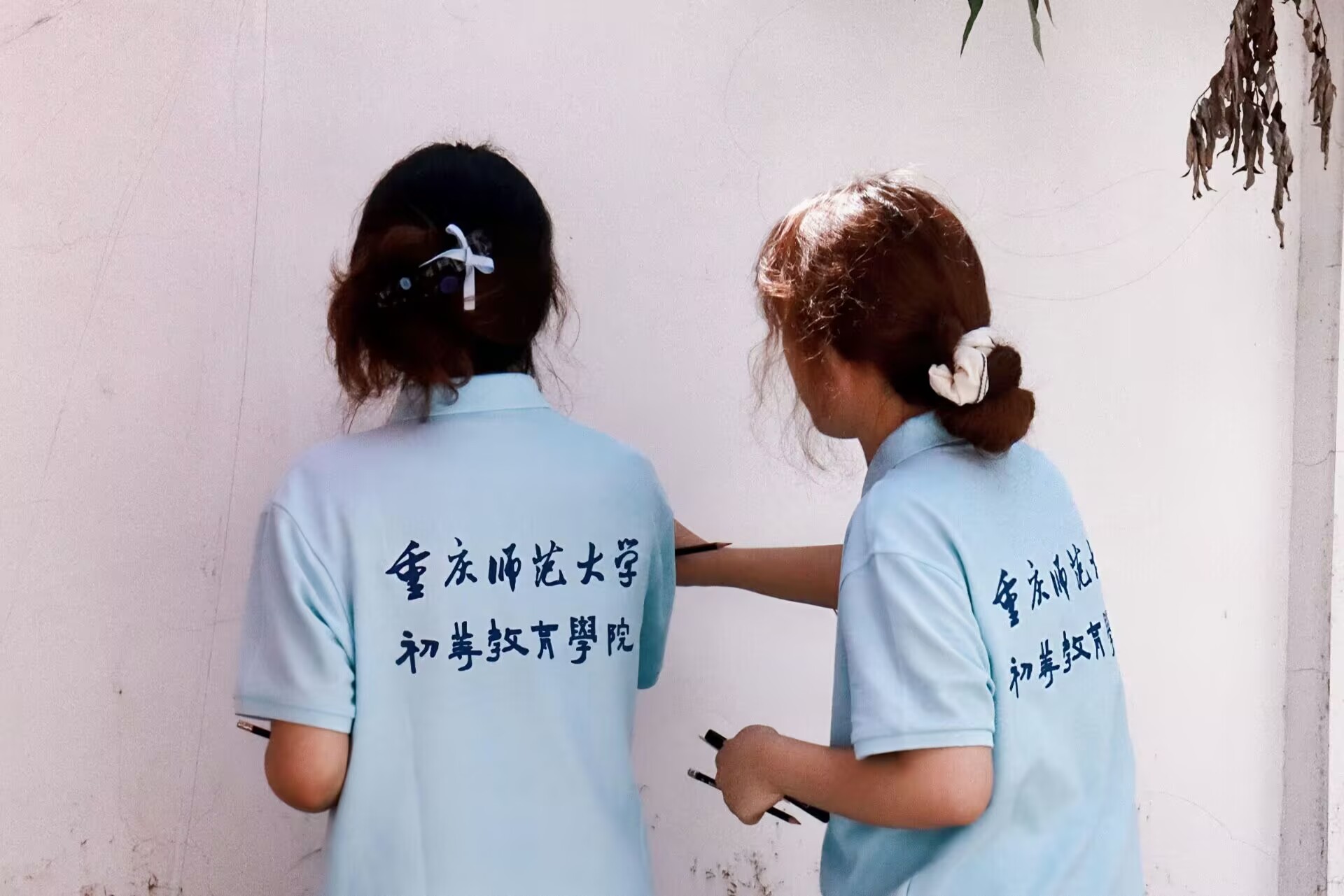 ���L��н�������d������ ����ӛ�ؑc������W(xu��)���Ƚ����W(xu��)