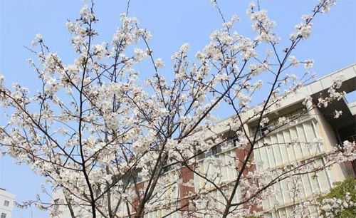 ���c�ѻ�ͬ��(m��ng)