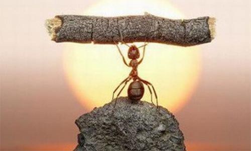 �Qλ˼�� �Qλ���� �Qλ����