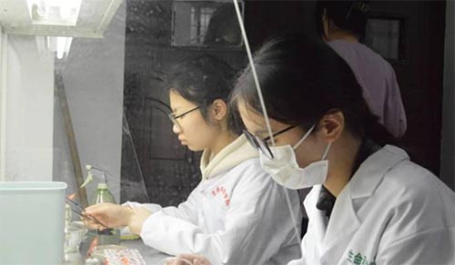 ̽����΢��֮�����L���ഺɫ