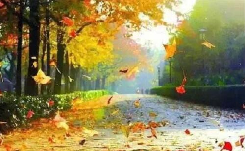 �l(xi��ng)��