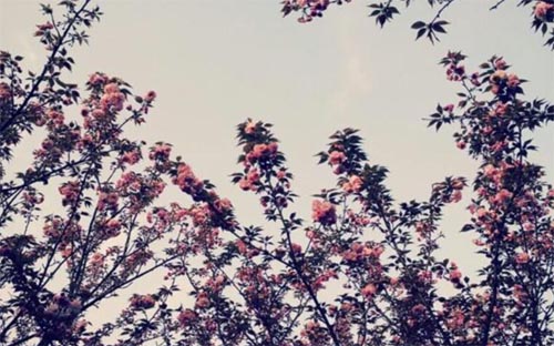 �ѻ����Z֮����