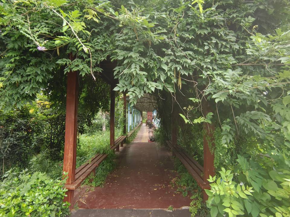 "�ഺ�ķ�I�������ͬ�W����֧�̉����cȼĸУ�|������