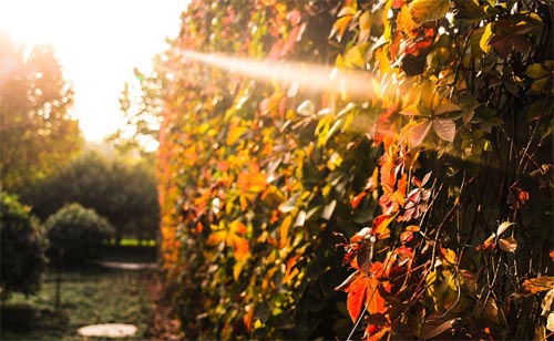 �ёٮ�(d��ng)��������