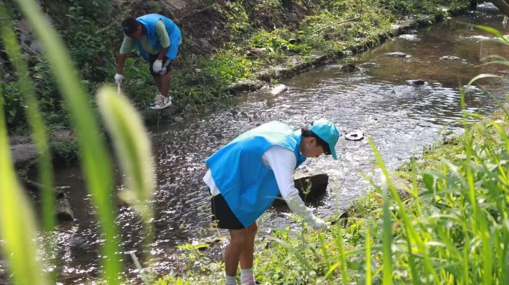 �F��Ժ�W(xu��)�ӡ������l(xi��ng)�����Ԅڄ�(d��ng)�����L(f��ng)����P(y��ng)���A����