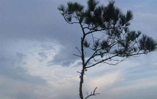 �]��Ŀ�˵������W�������һ���ǻďU�ģ�