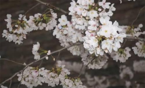 ͵�ø��������e