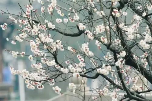 �Ð۵��Є�ȥ��ϧ�����H������x