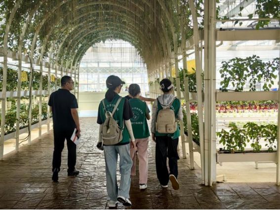 ɽ�|�W�������l��̽���ǻ۲ˈ@����a�۹�ģʽ���`