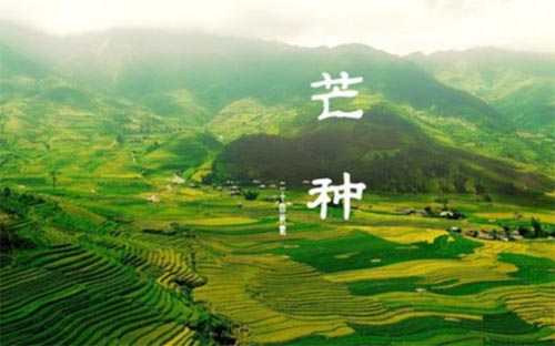 â�N���N��һ���r(n��ng)æ���Z(y��)