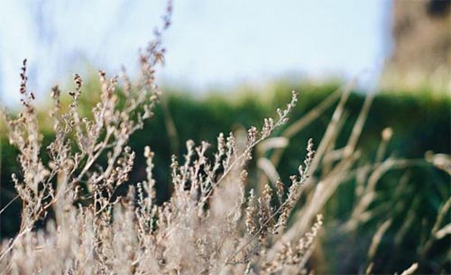 �ڻ�ʢ�_(k��i)�ļ���(ji��)��Ҋ(ji��n)����