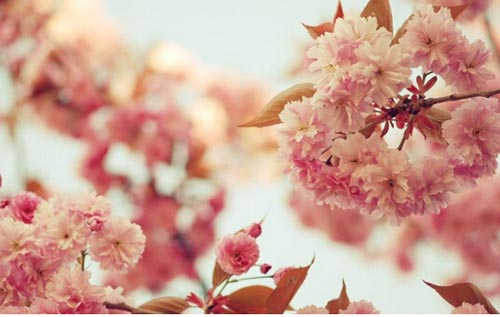 �����ϳ������Լ����䌍�]�����܉������