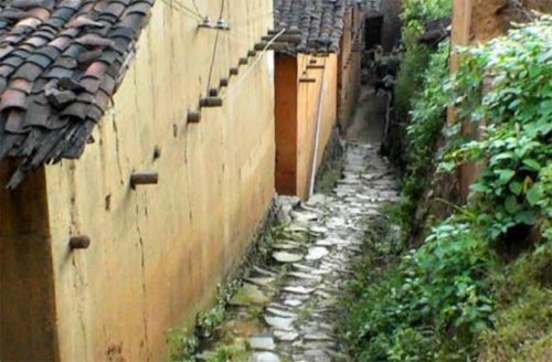 ���lҹ���������ǹ��l�A