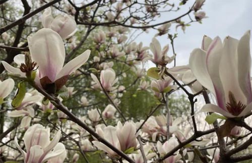 ��֮������(m��ng)��·