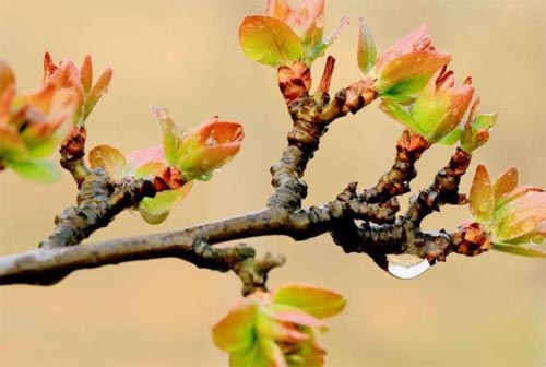 �ϵ۽o��������һ�p��