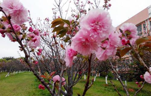 ���L���洺���