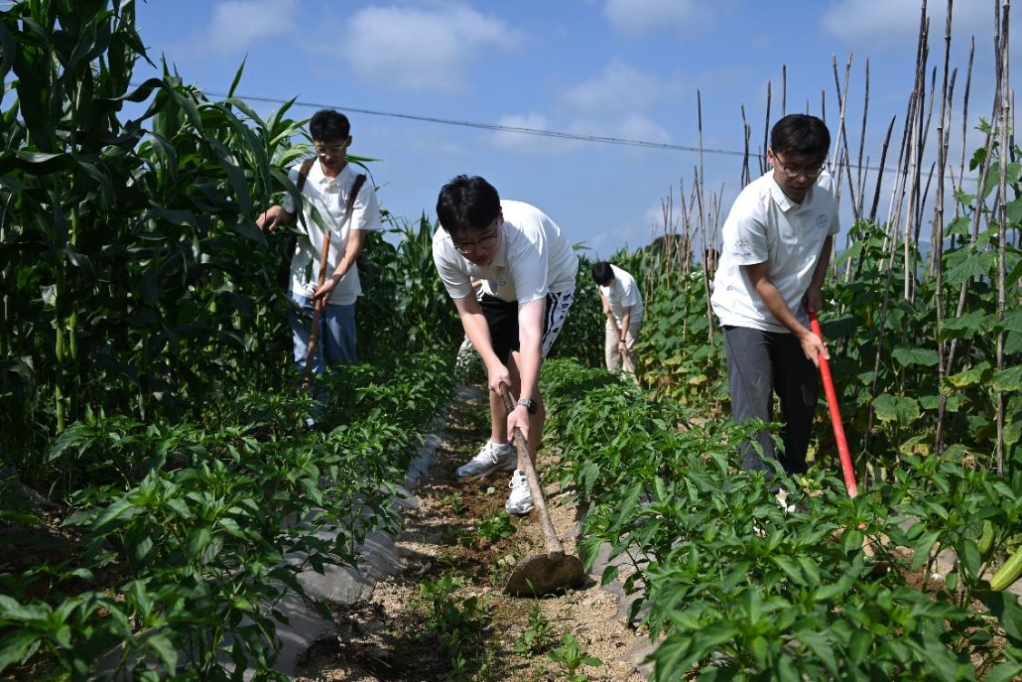 �����l|�z���ƶˣ��ؑc��W���Ǆ��l�С����`�F�����r�� ̽����¡�l���r�I���d·