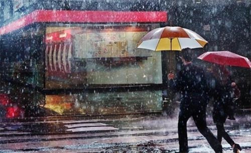 �w�(y��n)�Ӱ��Ͷ����еľ������W(xu��)