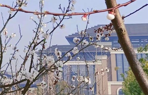 ����Ĺ���