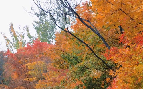 ż��Ҋ������������