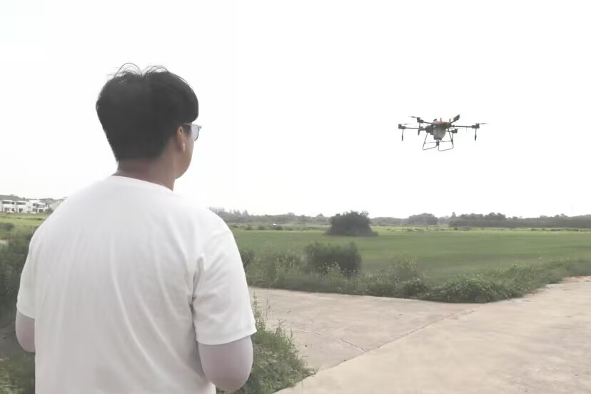 �����Ϣ���̌WԺ��ֲ���L�ﮠ ���`���r��