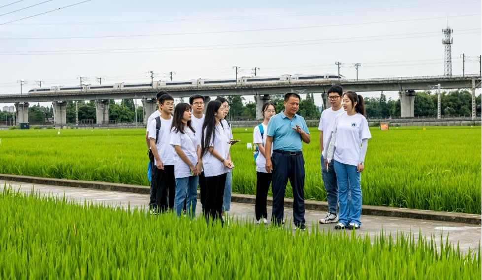 �������l(xi��ng)���M(j��n)�Еr(sh��)|̤����· �����L(f��ng)� ��(d��n)δ��؟(z��)