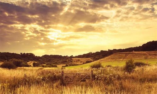 ���g����⣬��ᷲ����