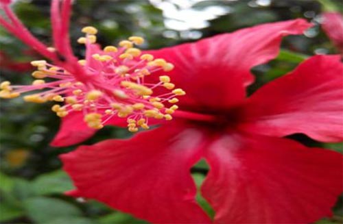 ���˄e�˿옷��Ҳ��