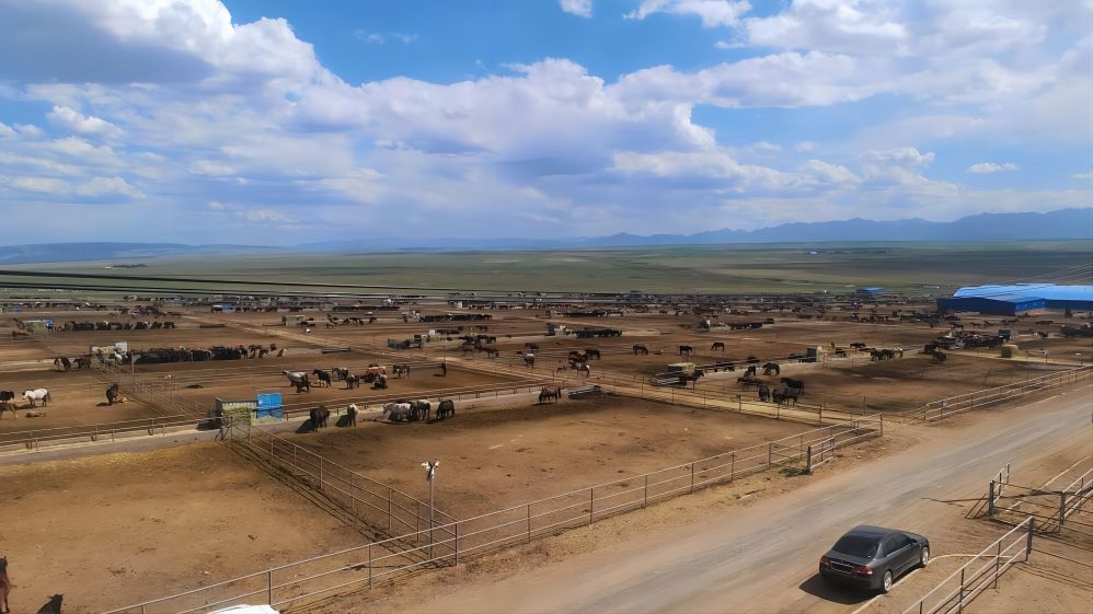 ���C�W�������l��ǧ��܊�R��������������