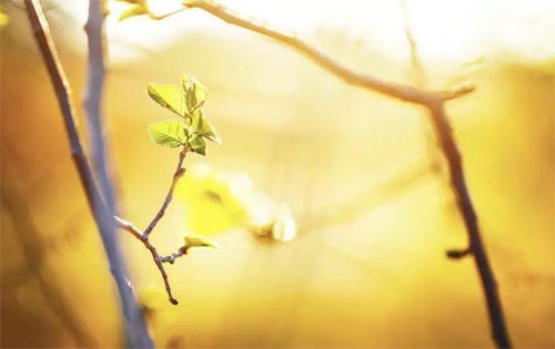 �������ͻ��