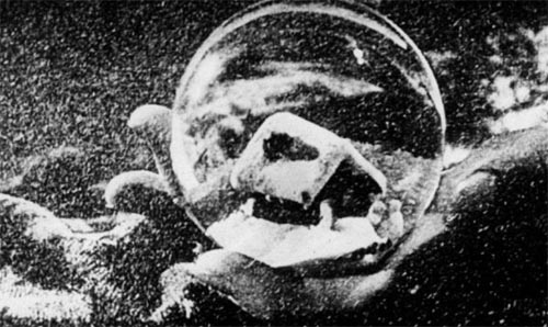 �㲻���ҵġ�õ�廨�١�